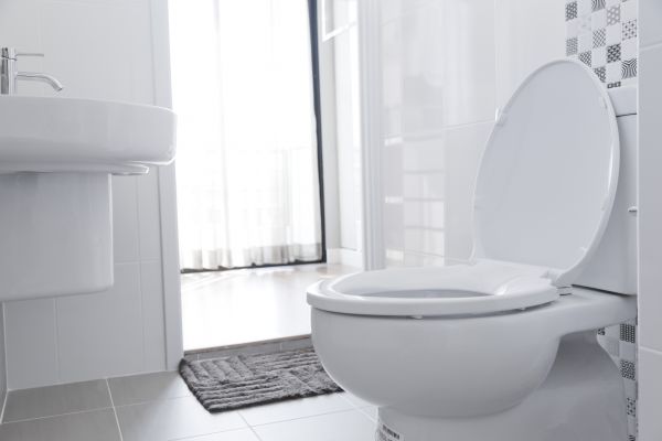 Cost of Toilet Relocation in Napa